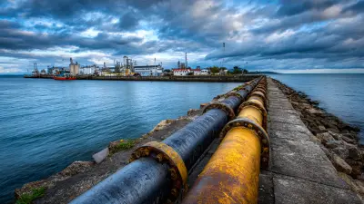 Enhancing Industrial Efficiency: The Impact of PTFE Seals on Equipment Longevity and Performance