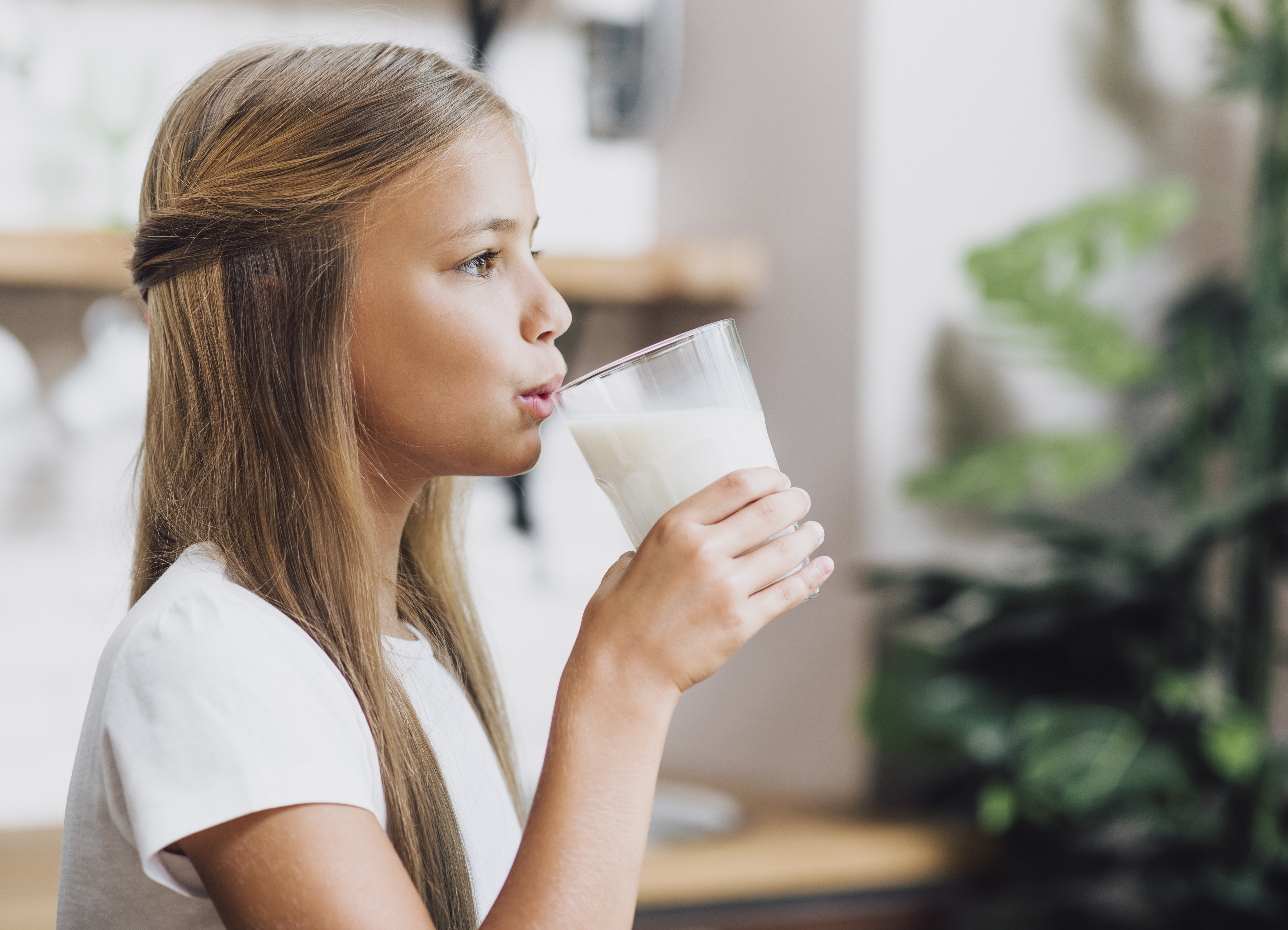 How to See Hygienic Mechanical Seal as Your Dairy's Shield